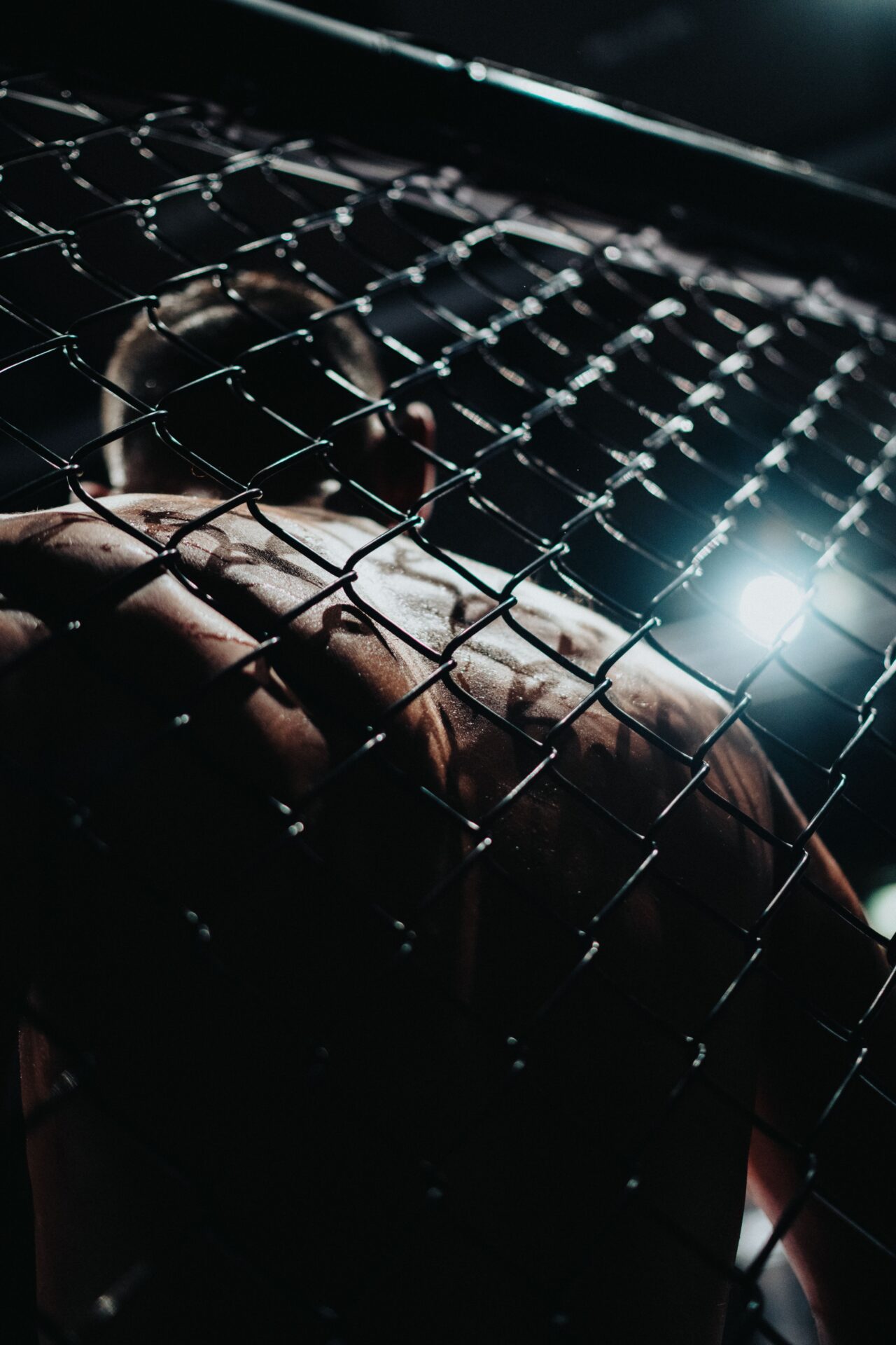 Jauktās cīņas māksla (MMA)